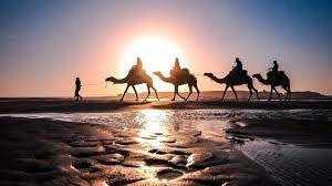 FULL DAY TRIP TO ESSAOUIRA BEACH FROM MARRAKECH